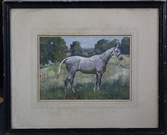 Lionel Edwards (1878-1966) Dapple grey horse in a field, 9.25 x 13in.